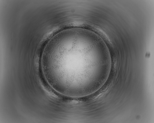 X0000097650542200802291452