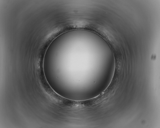 X0000097650543200802291452