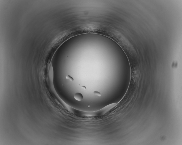 X0000097650544200802291452