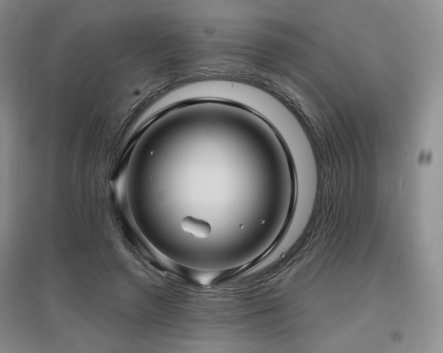 X0000097650546200802291452