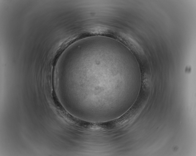 X0000097650547200802291452