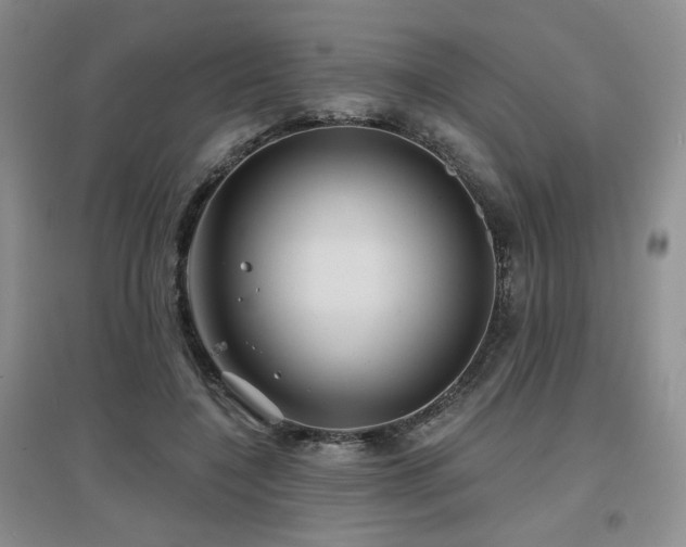 X0000097650548200802291452