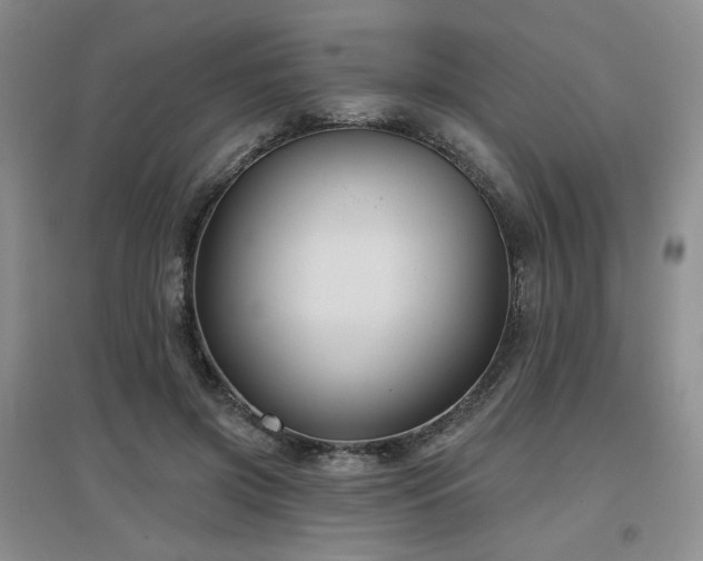 X0000097650549200802291452