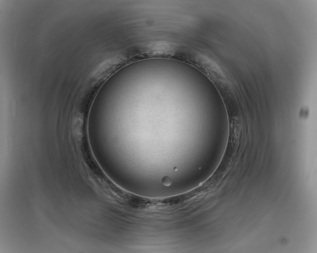 X0000097650550200802291452