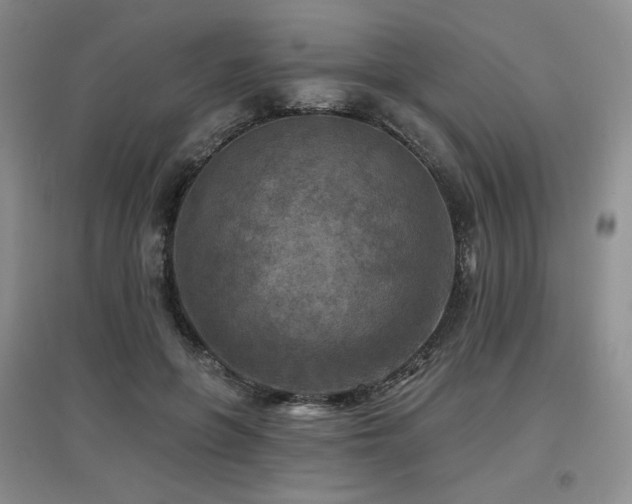 X0000097650551200802291452