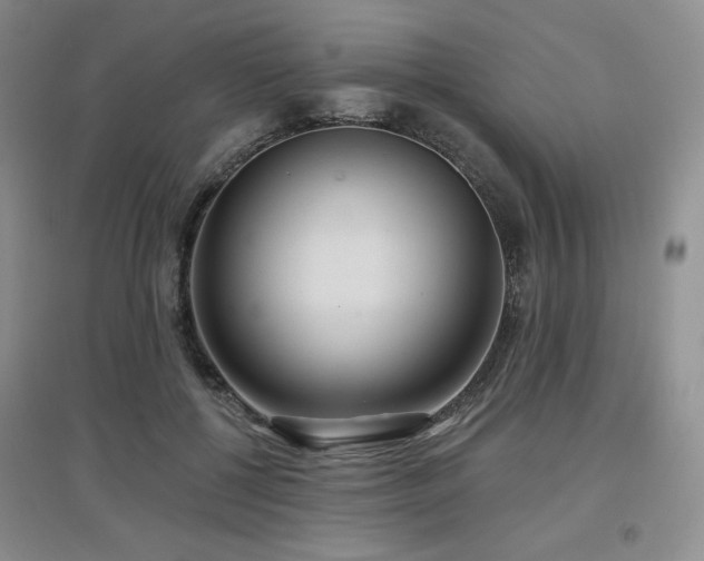 X0000097650552200802291452