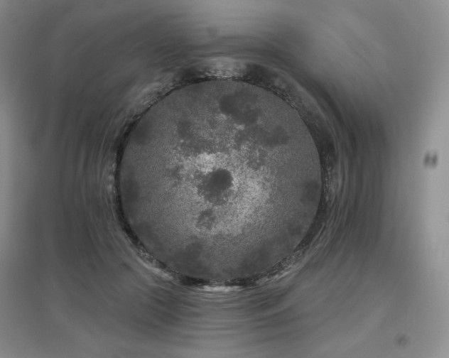 X0000097650553200802291452