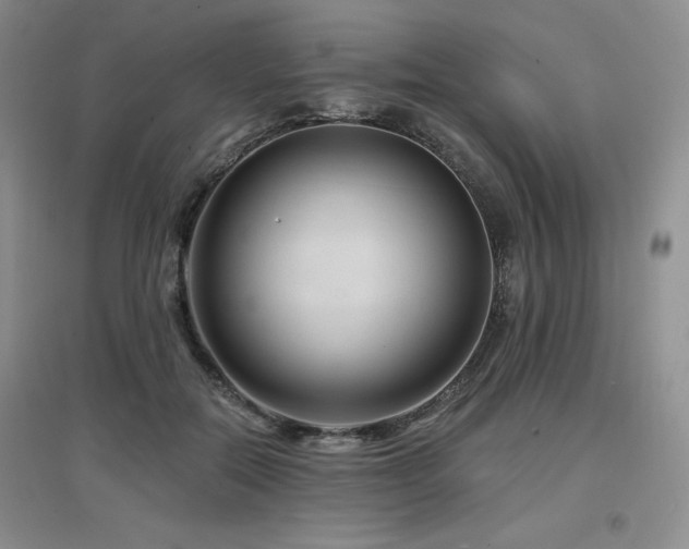 X0000097650554200802291453