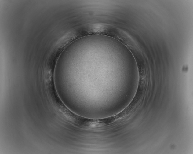 X0000097650555200802291453