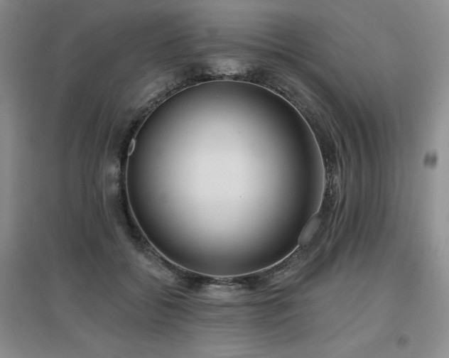 X0000097650556200802291453