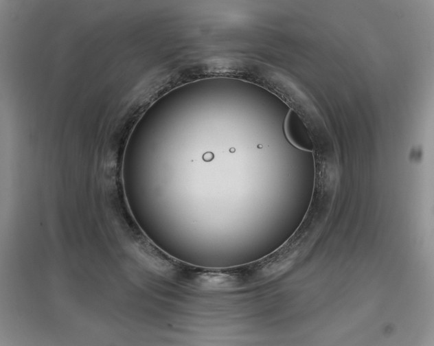 X0000097650557200802291453