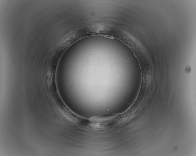 X0000097650558200802291453