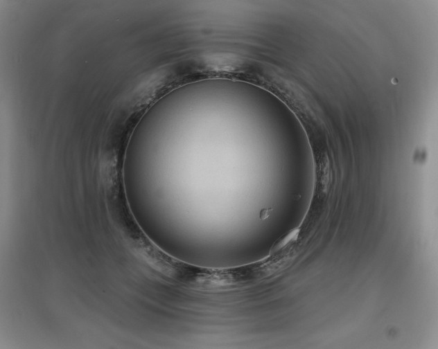 X0000097650559200802291453