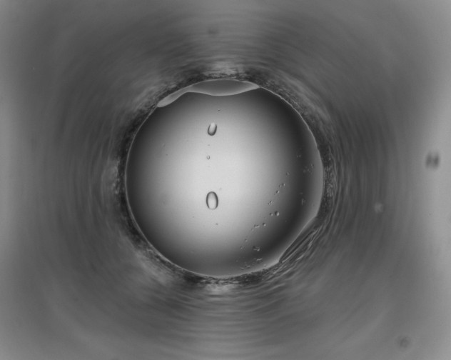 X0000097650560200802291453