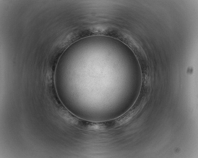 X0000097650561200802291453