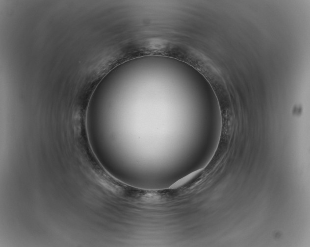 X0000097650562200802291453