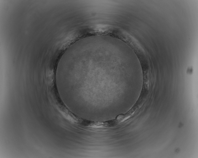 X0000097650563200802291453