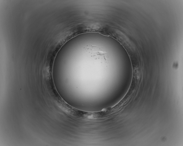 X0000097650564200802291453