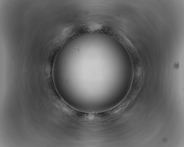 X0000097650565200802291453