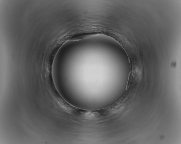 X0000097650566200802291453