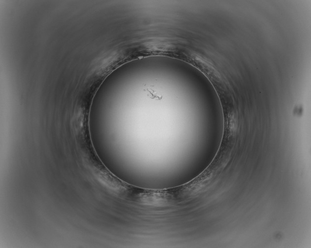 X0000097650567200802291453