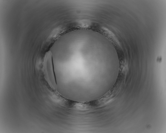 X0000097650568200802291453