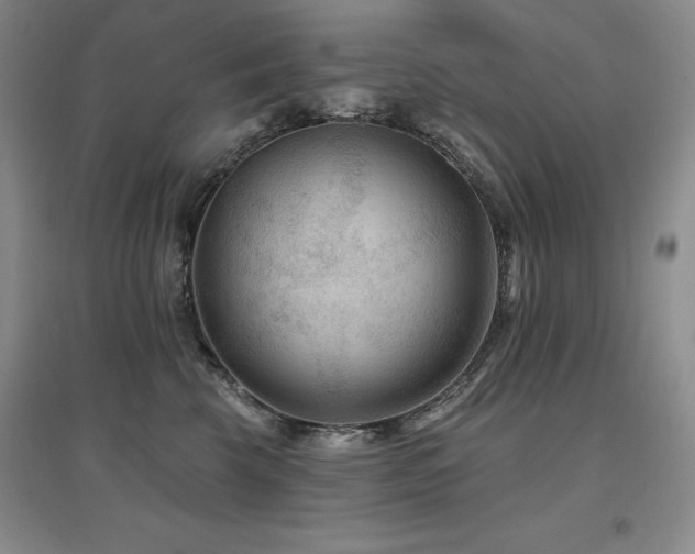 X0000097650569200802291453