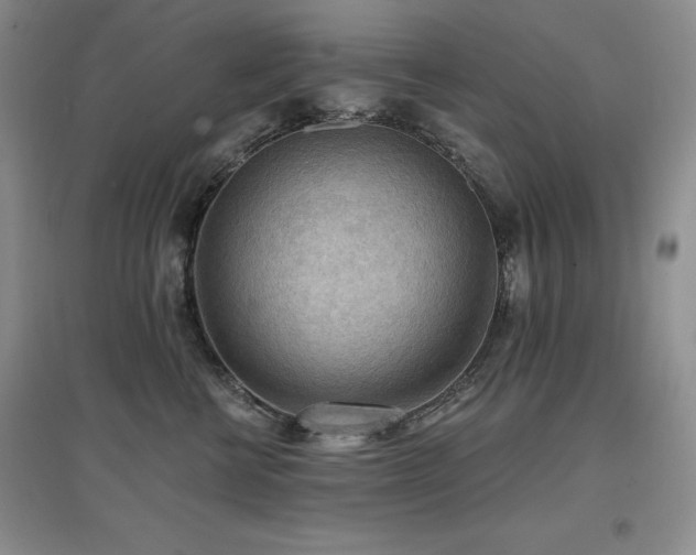 X0000097650570200802291453