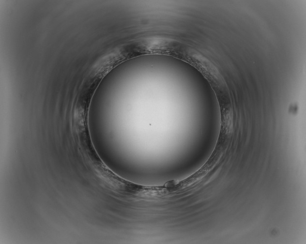 X0000097650571200802291453