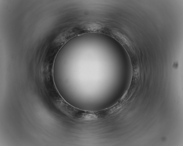 X0000097650572200802291453