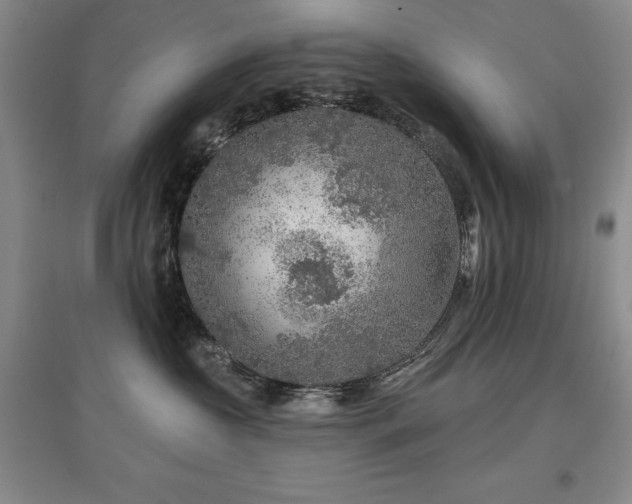 X0000097650573200802291453