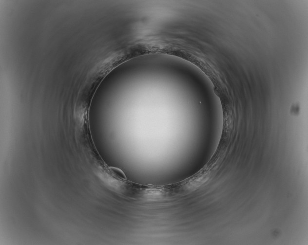 X0000097650574200802291453