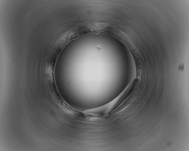 X0000097650575200802291453