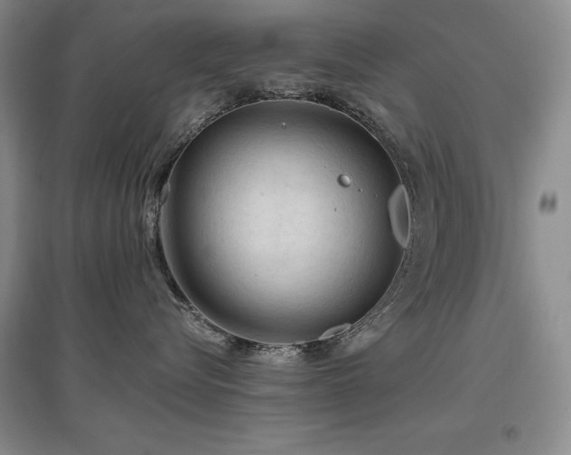 X0000097650576200802291453