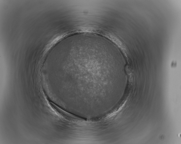 X0000097650577200802291452