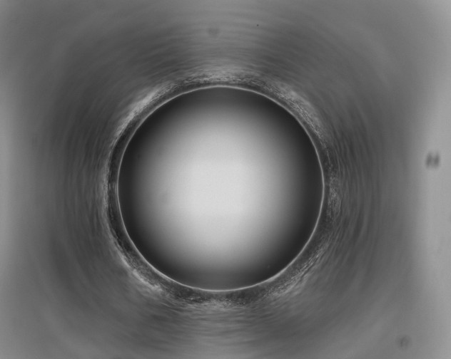 X0000097650578200802291452