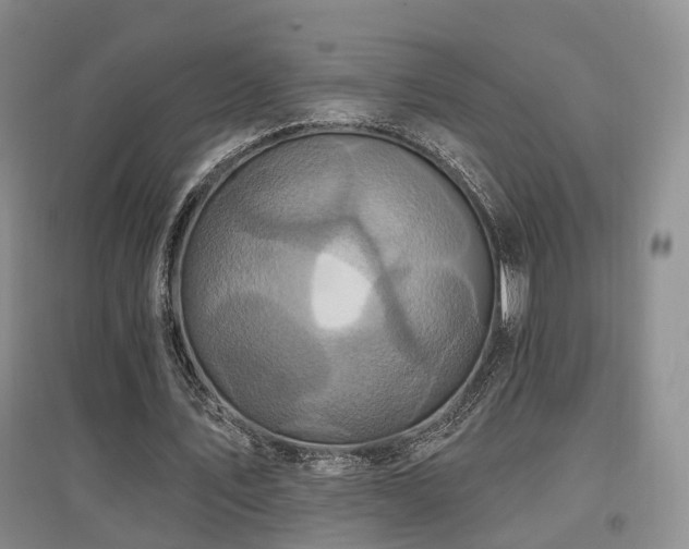 X0000097650579200802291452