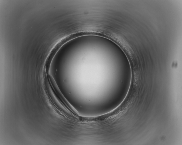 X0000097650580200802291452