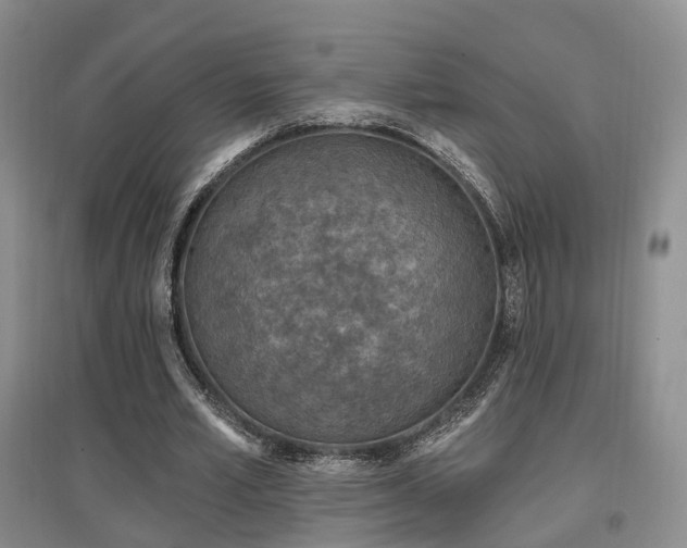 X0000097650581200802291452