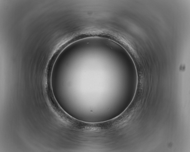 X0000097650582200802291452