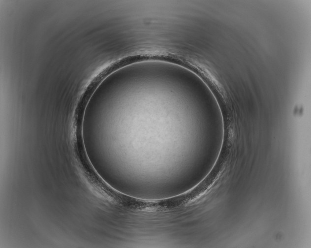 X0000097650584200802291452