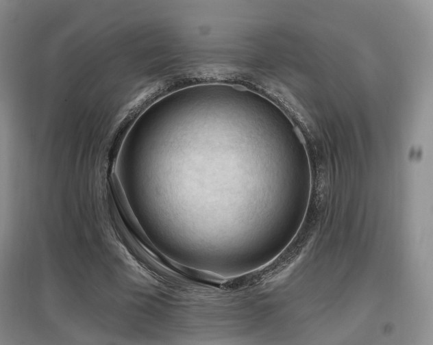 X0000097650585200802291452