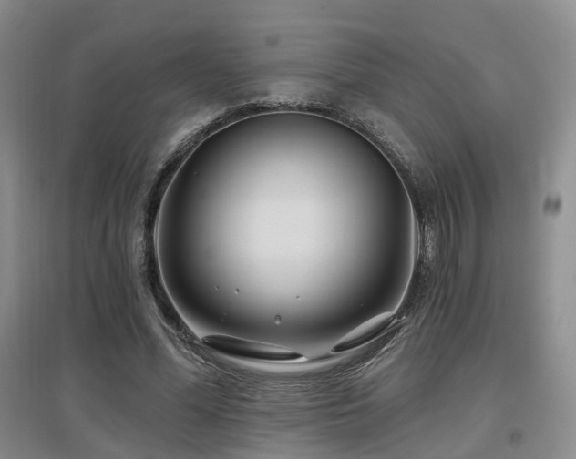 X0000097650588200802291452