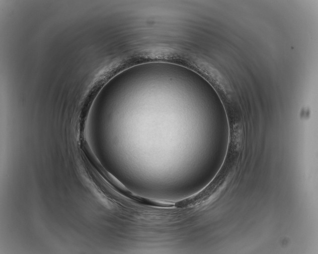 X0000097650589200802291452