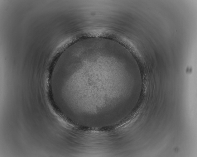 X0000097650590200802291452