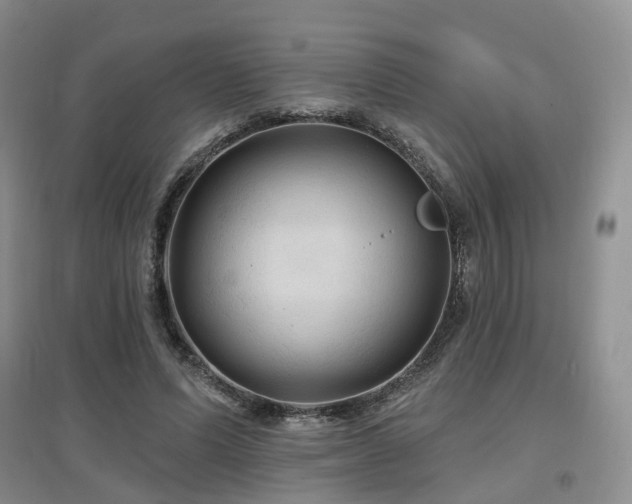 X0000097650591200802291452