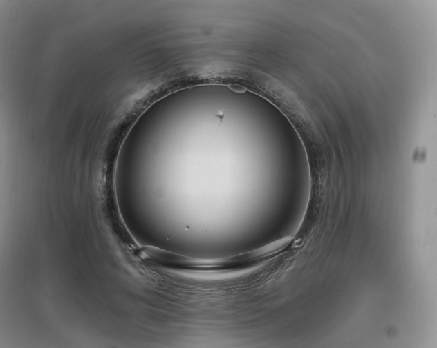 X0000097650592200802291452