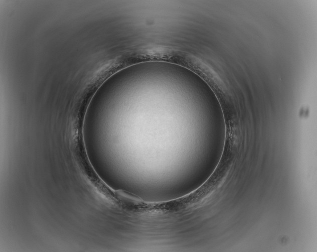 X0000097650593200802291452