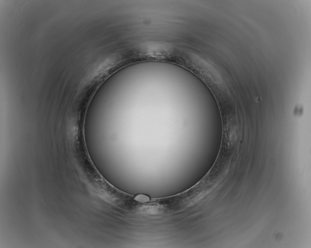 X0000097650595200802291452