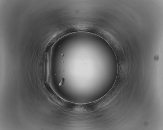 X0000097650596200802291452